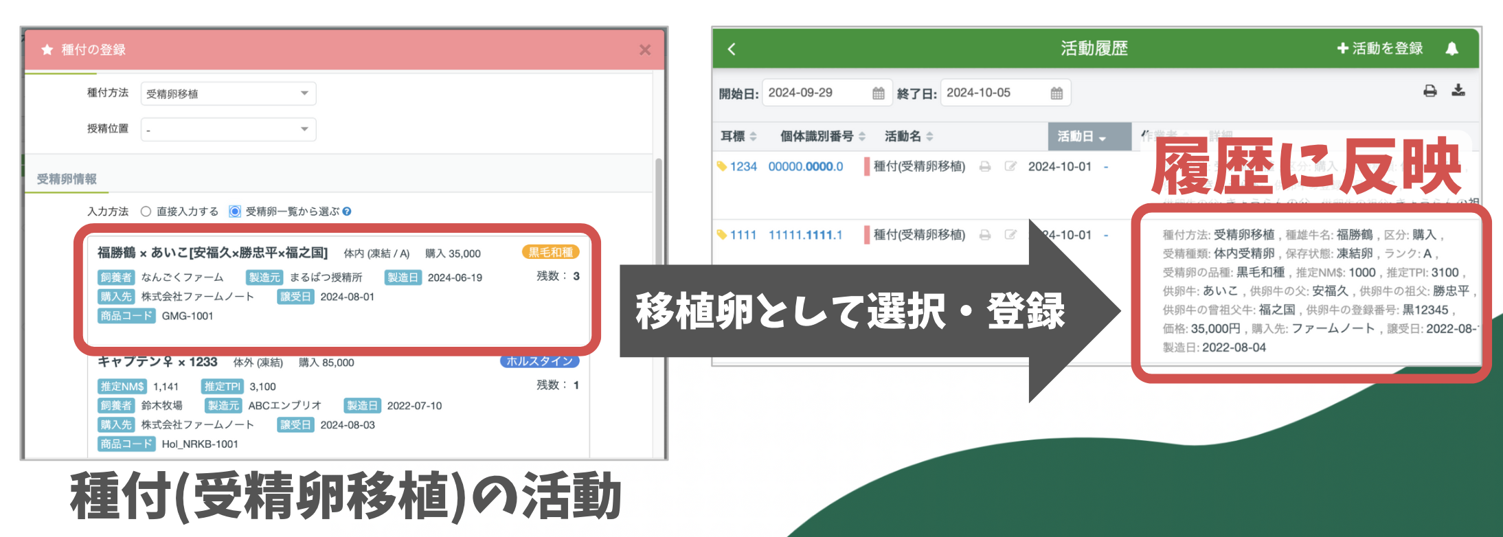 スクリーンショット 2024-10-21 17.54.52.png
